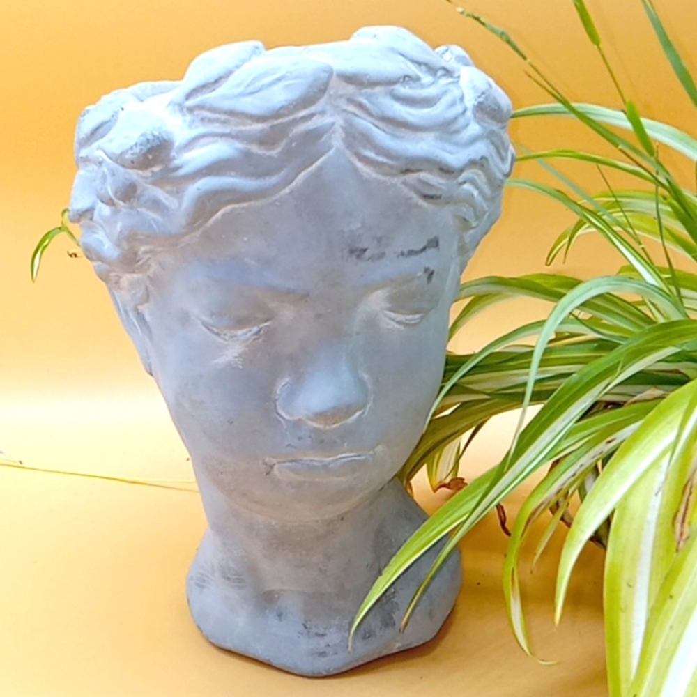 Roma Cement Planter Pot